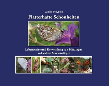 Przybilla S 2019: Flatterhafte Schnheiten. Lebensweise und Entwicklung von Blulingen und anderen Schmetterlingen.