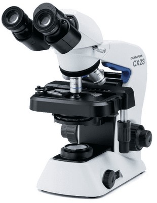 Olympus Durchlichtmikroskop: Stativ mit Foto-Tubus, Okularen, Tisch, Objektführer und Objektivset 4x, 10x und 40x.