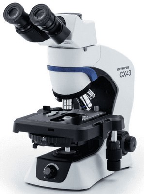 Olympus Durchlichtmikroskop: Aufrechtes Mikroskopstativ für Durch- und Auflichtbeobachtungen mit integrierte LED Beleuchtung und tiefliegendem 5-fach Objektivrevolver, Kreuztisch, Tischarretierung und Halter für ein Standardpräparat