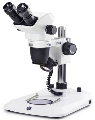 Euromex binokulares Zoom-Stereomikroskop NexiusZoom EVO 6.5-55x mit Sulenstativ. 