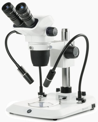 Euromex binokulares Zoom-Stereomikroskop NexiusZoom EVO 6.5-55x mit Sulenstativ und 2 flexiblen Schwanenhals Lichtleitern.