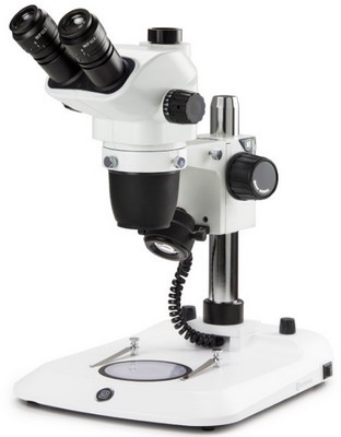 Euromex trinokulares Zoom-Stereomikroskop NexiusZoom EVO 6.5-55x mit Sulenstativ.