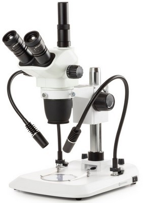 Euromex trinokulares Zoom-Stereomikroskop NexiusZoom EVO 6.5-55x mit Sulenstativ und 2 flexiblen Schwanenhals Lichtleitern.