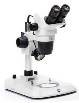 Euromex Zoom-Stereomikroskop NexiusZoom 6,7-45x mit Sulenstativ und LED Auf- und Durchlichtbeleuchtung.