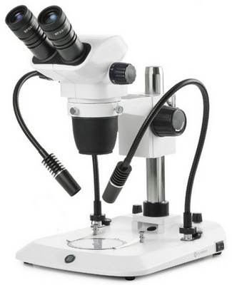 Euromex Zoom-Stereomikroskop NexiusZoom 6,7-45x mit zwei flexiblen Schwanenhals LED-Lichtleitern und einem Sulenstativ.