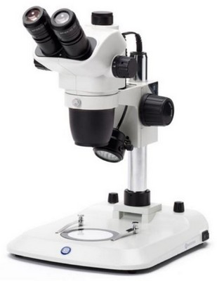 Euromex trinokulares Zoom-Stereomikroskop NexiusZoom 6,7-45x mit Sulenstativ und LED Auf- und Durchlichtbeleuchtung.