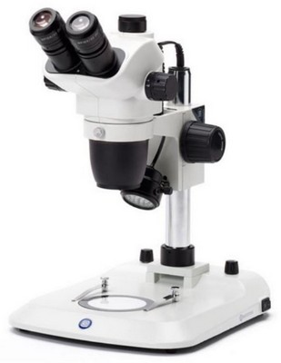 Euromex trinokulares Zoom-Stereomikroskop NexiusZoom 6,7-45x mit S�ulenstativ und LED Auf- und Durchlichtbeleuchtung.