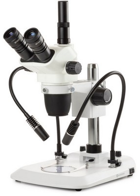 Euromex trinokulares Zoom-Stereomikroskop NexiusZoom 6,7-45x mit Sulenstativ mit 2 flexiblen Schwanenhals Lichtleitern.