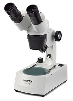 Euromex (Novex) binokulares Stereomikroskop P-10 10x/30x, Halogenbeleuchtung 10W. Rabattiert.