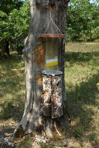 Lufteklektor nach Rahn Bildbeispiel1