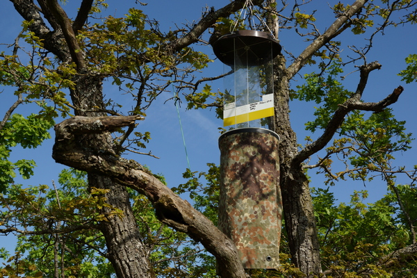 Lufteklektor nach Rahn Bildbeispiel2