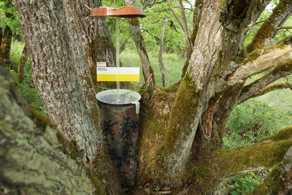 Lufteklektor nach Rahn Bildbeispiel3