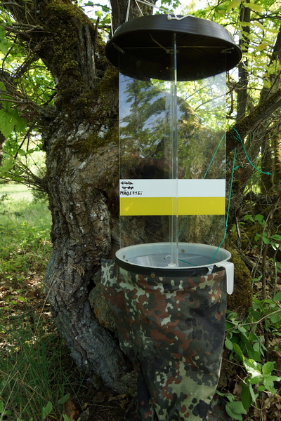 Lufteklektor nach Rahn Bildbeispiel4