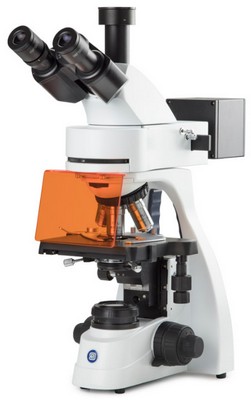 Euromex bScope trinokulares Mikroskope mit fluorescence 4LED-EPI Beleuchtung, HWF 10x/20mm Okularen, 5-Revolver Plan EPLi 4/10/S40/S100 und Köhler NeoLED.