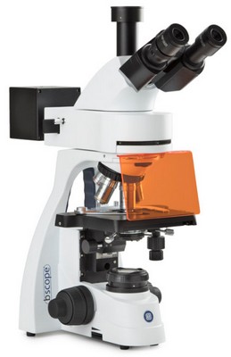 Euromex bScope trinokulares Mikroskope mit fluorescence 4LED-EPI Beleuchtung, HWF 10x/20mm Okularen, 5-Revolver Plan PLi 4/10/S40/ S100x.