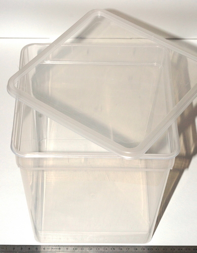Containerboxen mit Deckel, 19x19cm, 20cm hoch, PP transparent, 5 Liter Volumen, 10 St�ck