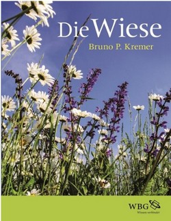 Kremer BP 2020: Die Wiese