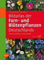 Haeupler & Muer 2007: Bildatlas der Farn- und Blütenpflanzen Deutschlands.