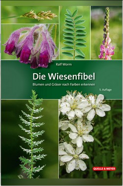 Worm R 2020: Die Wiesenfibel: Blumen und Gräser nach Farben erkennen.