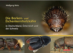 Rohe W 2024: Die Borken- und Eichenkernholzkfer in  Deutschland, sterreich und der Schweiz.