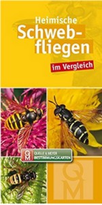 Quelle & Meyer 2018: Heimische Schwebfliegen: im Vergleich