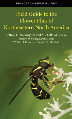Skevington JH et al. 2019: Field Guide to the Flower Flies of Northeastern North America.