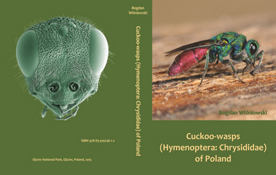Wisniowski B 2015: Cuckoo-wasps (Hymenoptera: Chrysididae) of Poland.