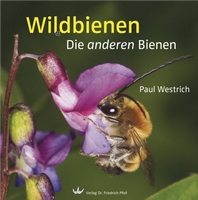 Westrich P 2015: Wildbienen. Die anderen Bienen. 5. Auflage.
