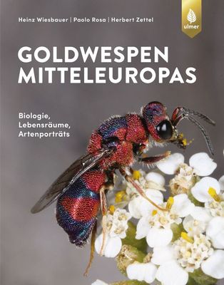 Wiesbauer, Rosa & Zettel 2020: Goldwespen Mitteleuropas. Biologie, Lebensräume, Artensteckbriefe
