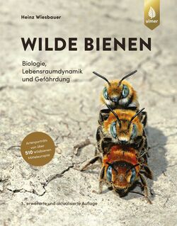 Wiesbauer H 2020: Wilde Bienen. Biologie, Lebensraumdynamik und Gefährdung. Artenporträts von über 470 Wildbienen Mitteleuropas (2. Auflage)