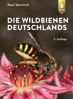Westrich P 2019: Die Wildbienen Deutschlands. 2. Aufl.
