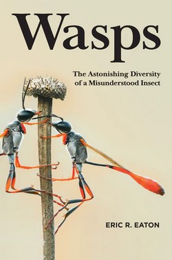 Eaton E.R 2021: Wasps - The Astonishing Diversity of a Misunderstood Insect.
