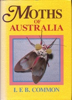 Common IFB 1990/1993: Moth of Australia.