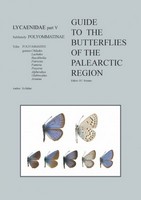Bozano (ed.): Balint 2022: Guide to the Butterflies of the Palaearctic Region: Lycaenidae V: Polyommatini: Chilades to Arianna.