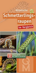 Quelle & Meyer 2020: Bestimmungskarte Heimische Schmetterlingsraupen im Vergleich.