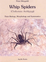 Weygoldt P 2000: Whip Spiders (Amblypygi): Biology, Morphology and Systematics.