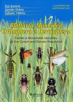 Kocarek et al. 2005: Kocarek, Holusa, Vidlicka: Illustrated key to orthopteroid insects of CZ & SK.