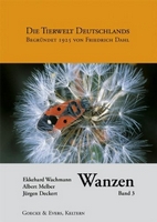 Wachmann, Melber & Deckert 2007: Wanzen Band 3 (Dahl Die Tierwelt Deutschlands). Aradidae, Lygaeidae, Piesmatidae, Berytidae, Pyrrhocoridae, Alydidae, Coreidae, Rhopalidae, Stenocephalidae.