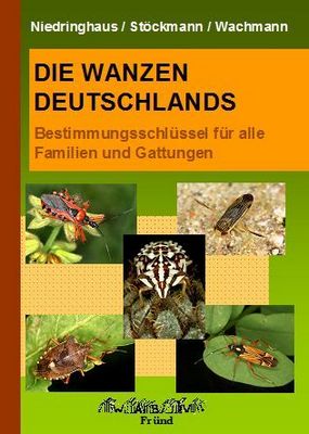 Niedringhaus, Stöckmann & Wachmann 2020: Die Wanzen Deutschlands Band 1: Bestimmungsschlüssel für alle Familien und Gattungen.