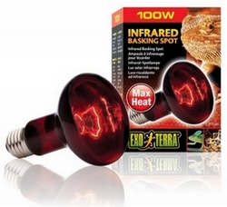 Exoterra Infrared Basking Spot Heat GL R25/100W