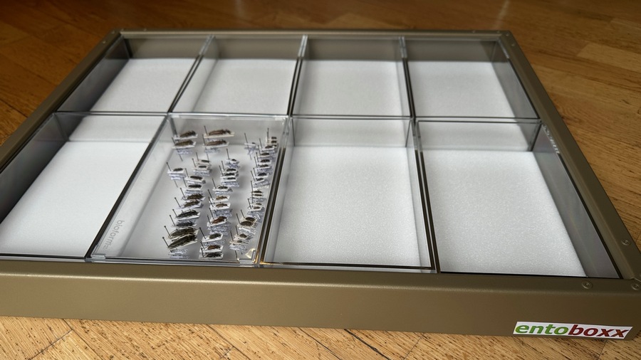 entoboxx (c) Sytemkasten Gr. 1 (Standardma�) 51x42x5cm Alu pulverbeschichtet, mit 8 Systemboxen 118x192x45mm mit Plastazote-Auslage und hochtransparentem Deckel, 6 St�ck/pcs.